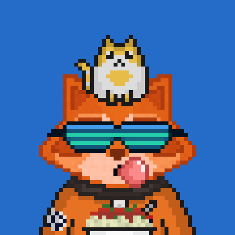 Image of Pixel Raccoon #32