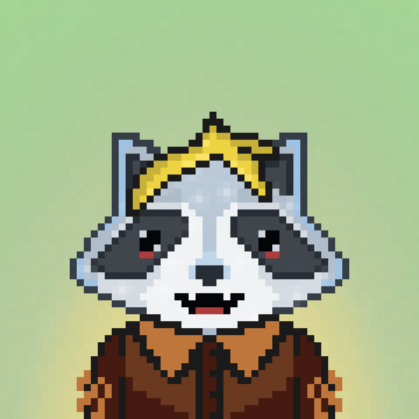 Image of Pixel Raccoon #34