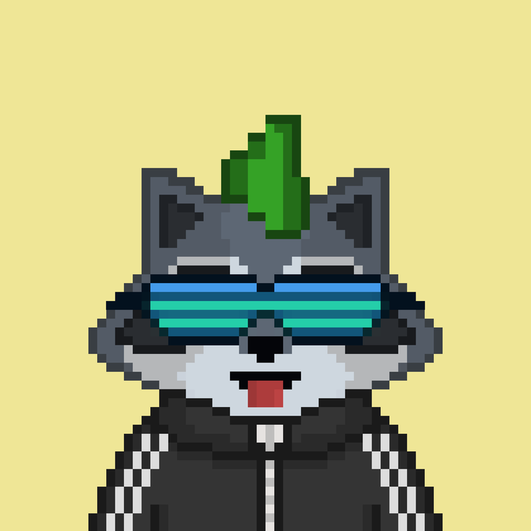 Image of Pixel Raccoon #35