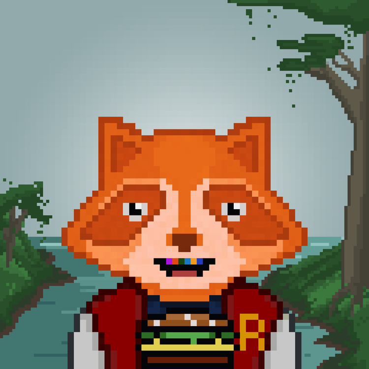 Image of Pixel Raccoon #36