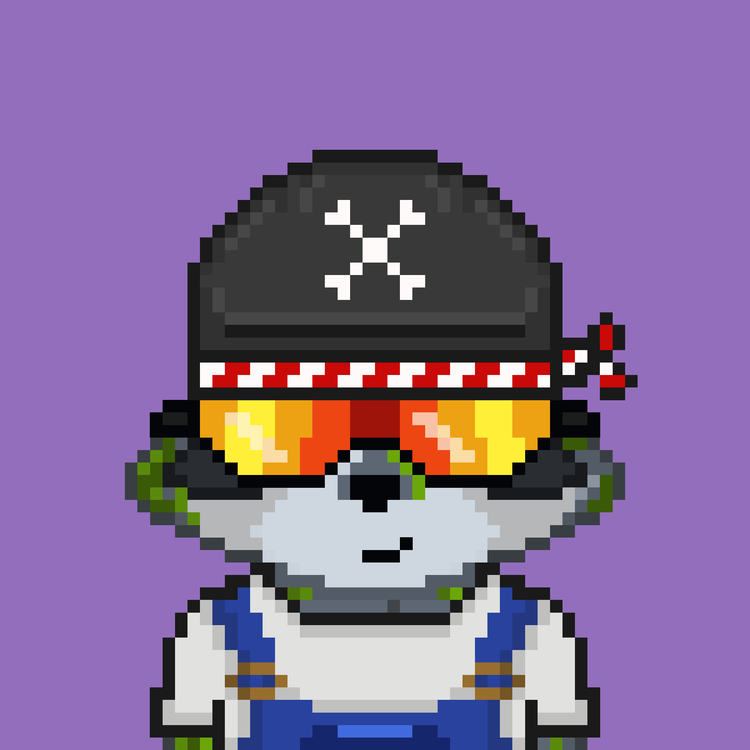 Image of Pixel Raccoon #37