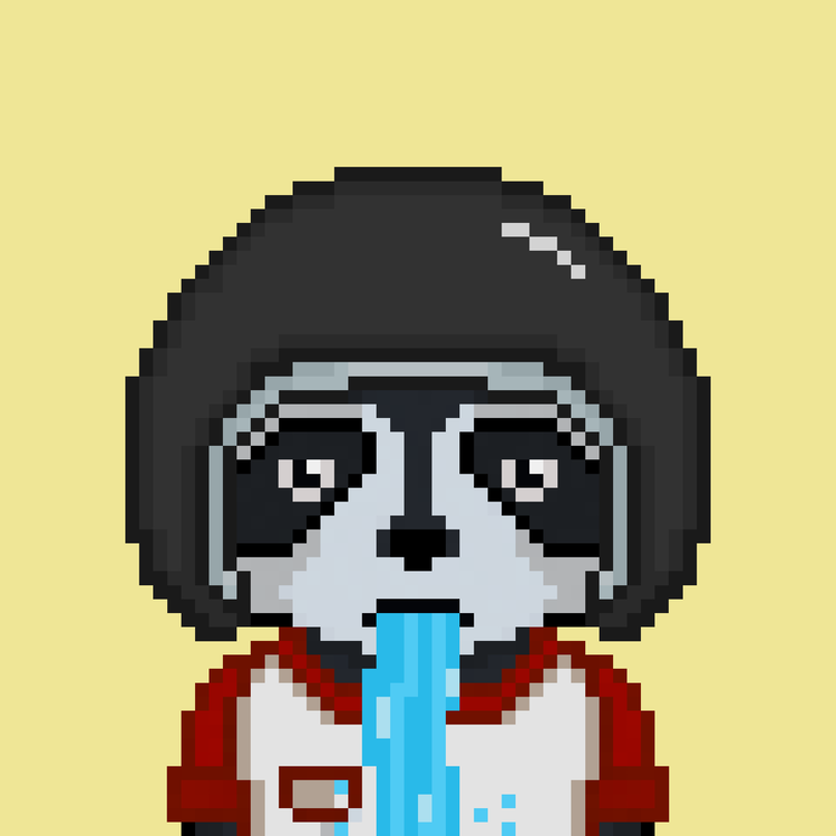 Image of Pixel Raccoon #38