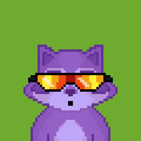 Image of Pixel Raccoon #39