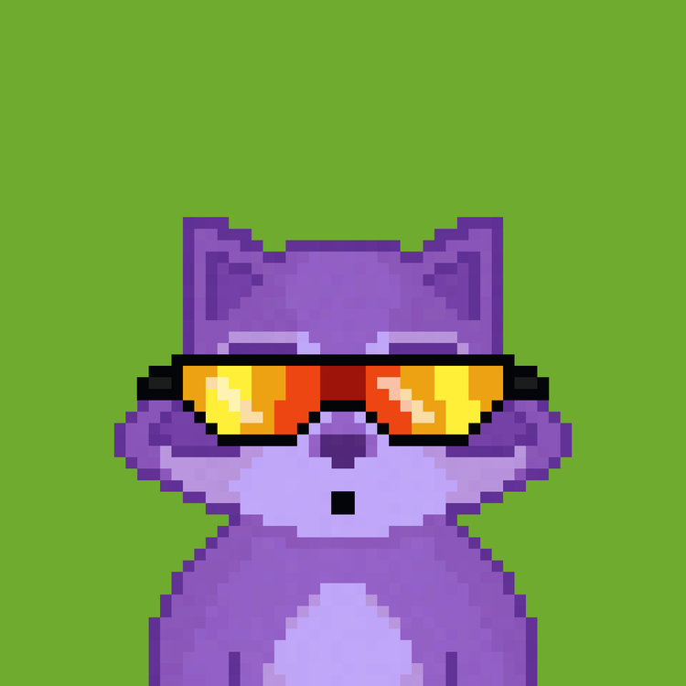 Image of Pixel Raccoon #39