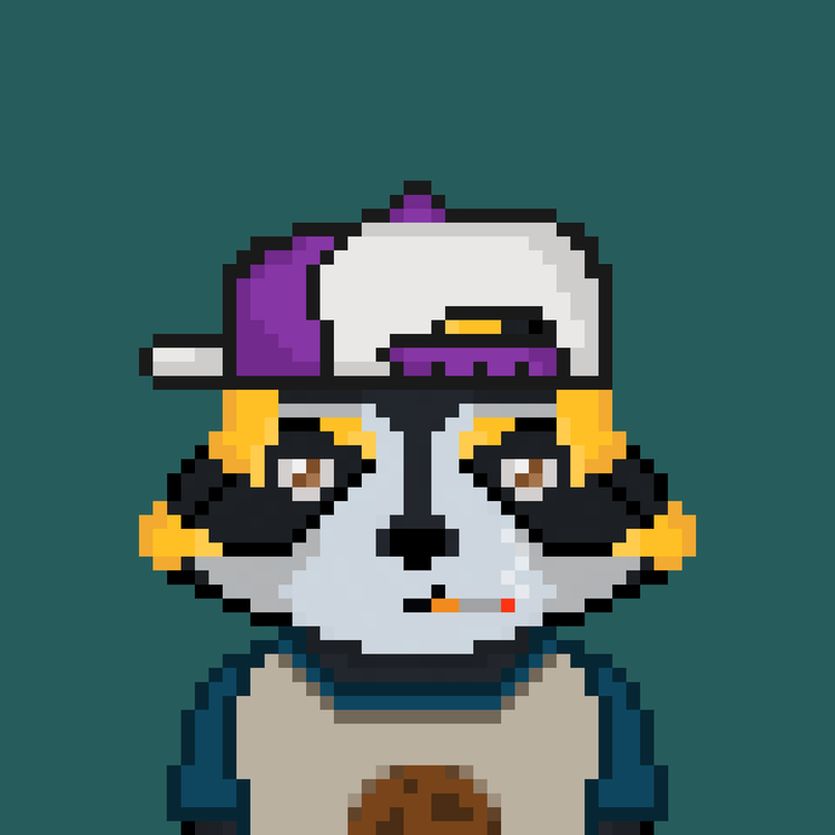 Image of Pixel Raccoon #4