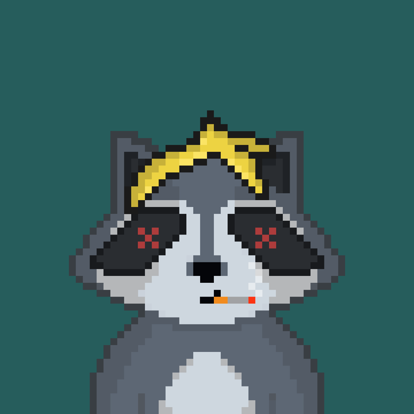 Image of Pixel Raccoon #41