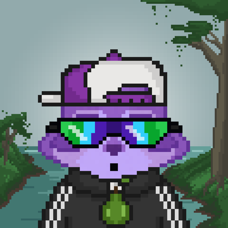 Image of Pixel Raccoon #42