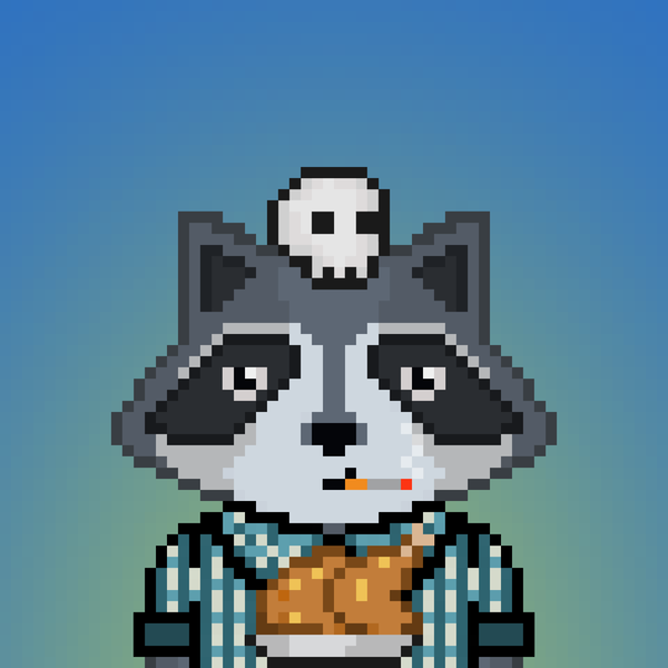 Image of Pixel Raccoon #43