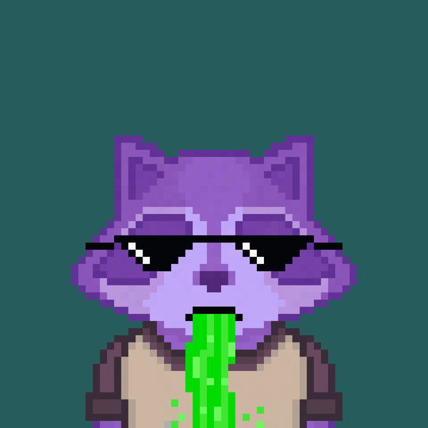 Image of Pixel Raccoon #44