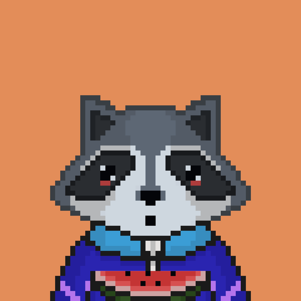 Image of Pixel Raccoon #47