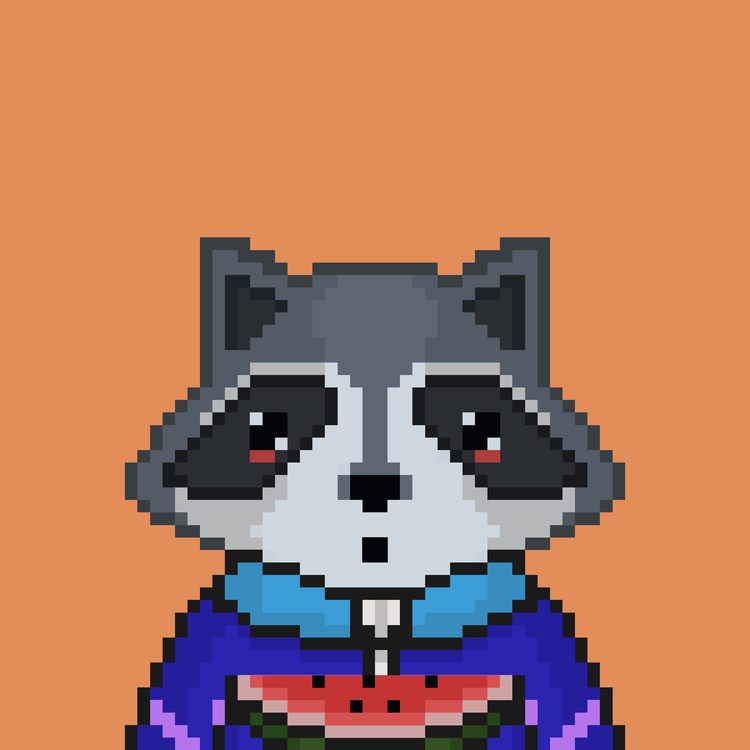 Image of Pixel Raccoon #47