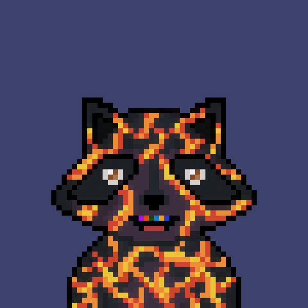 Image of Pixel Raccoon #48