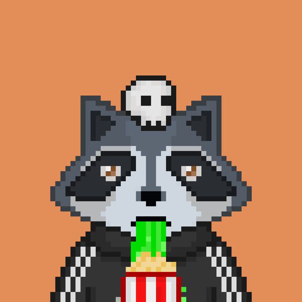 Image of Pixel Raccoon #49