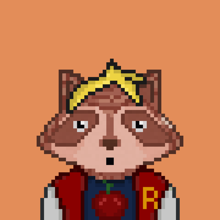 Image of Pixel Raccoon #5