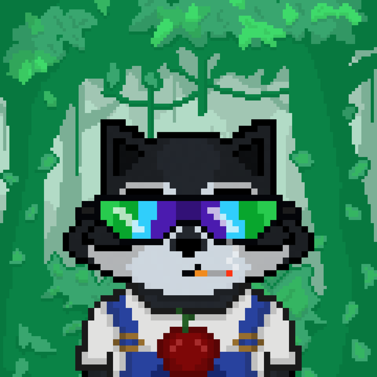 Image of Pixel Raccoon #51