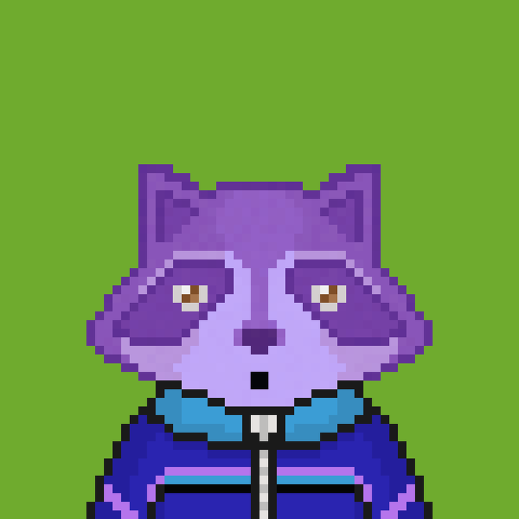 Image of Pixel Raccoon #52