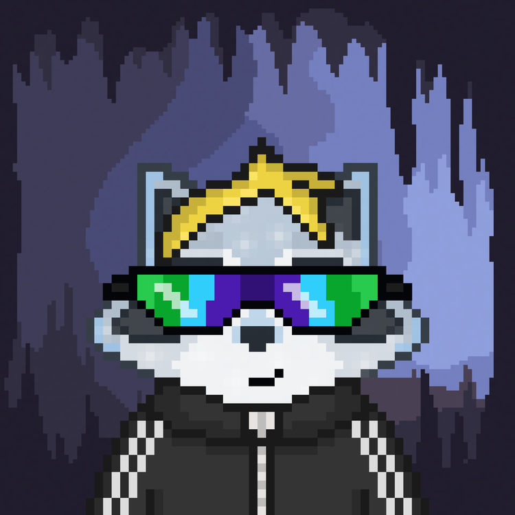 Image of Pixel Raccoon #53