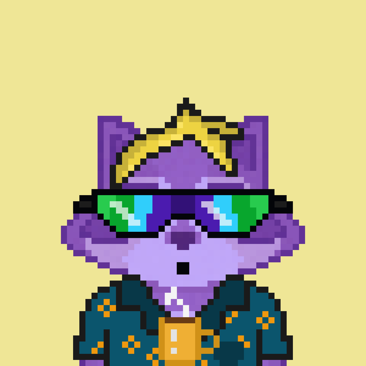 Image of Pixel Raccoon #56