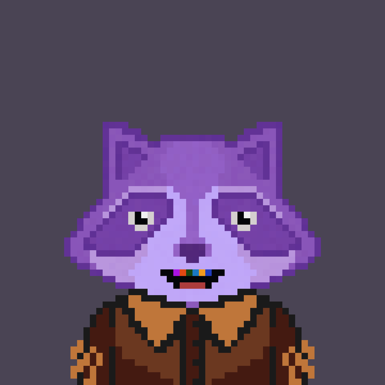 Image of Pixel Raccoon #7