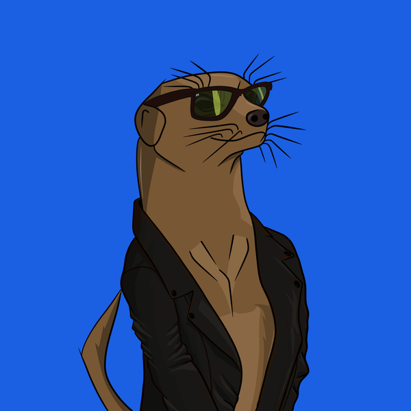 An image of Meerkat #003