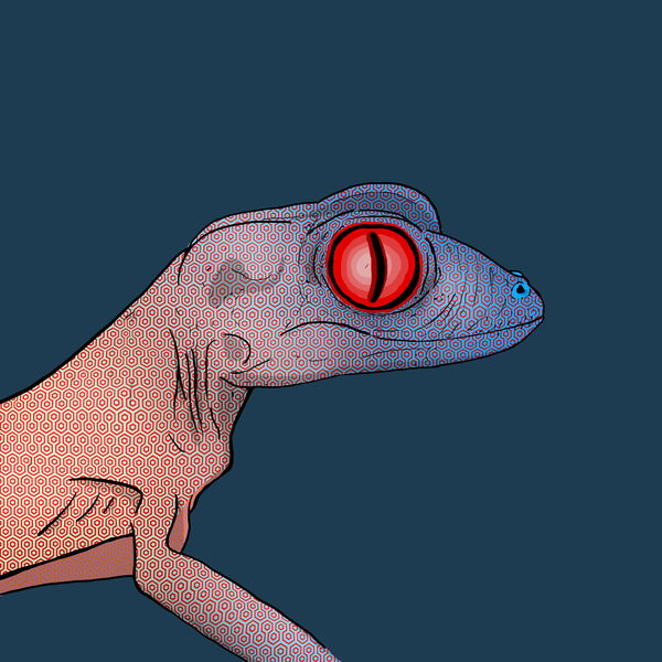 Image of Geko 0026