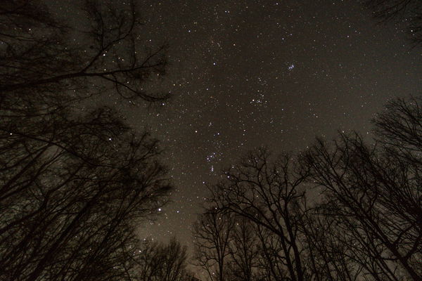 An image of Starlapse Enid Companion Photo