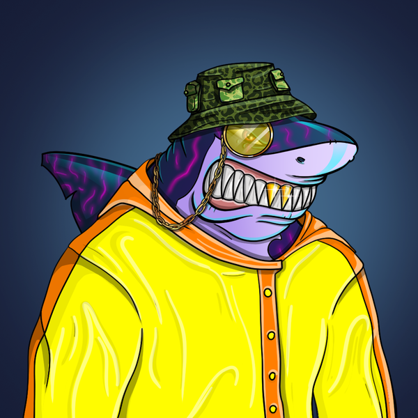 An image of AlgoShark #6