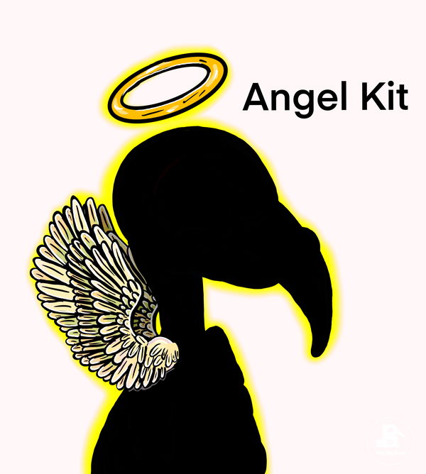 An image of Angel Kit (PFP)