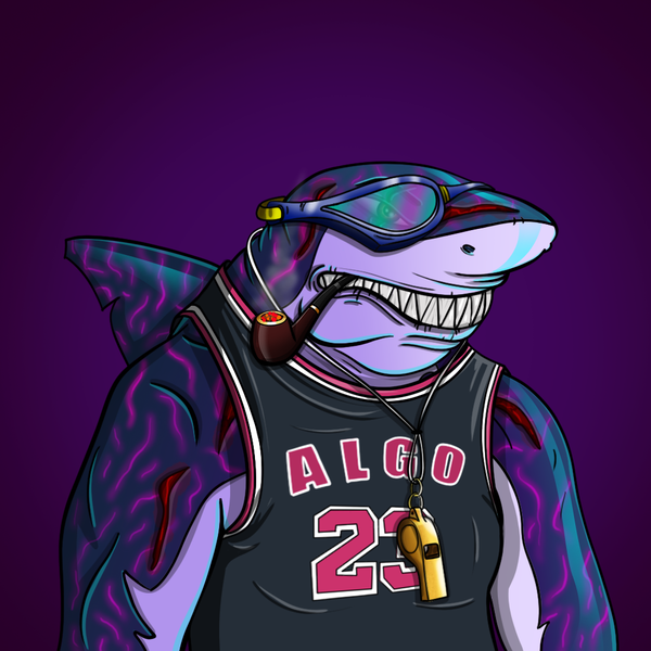 Image of AlgoShark #391