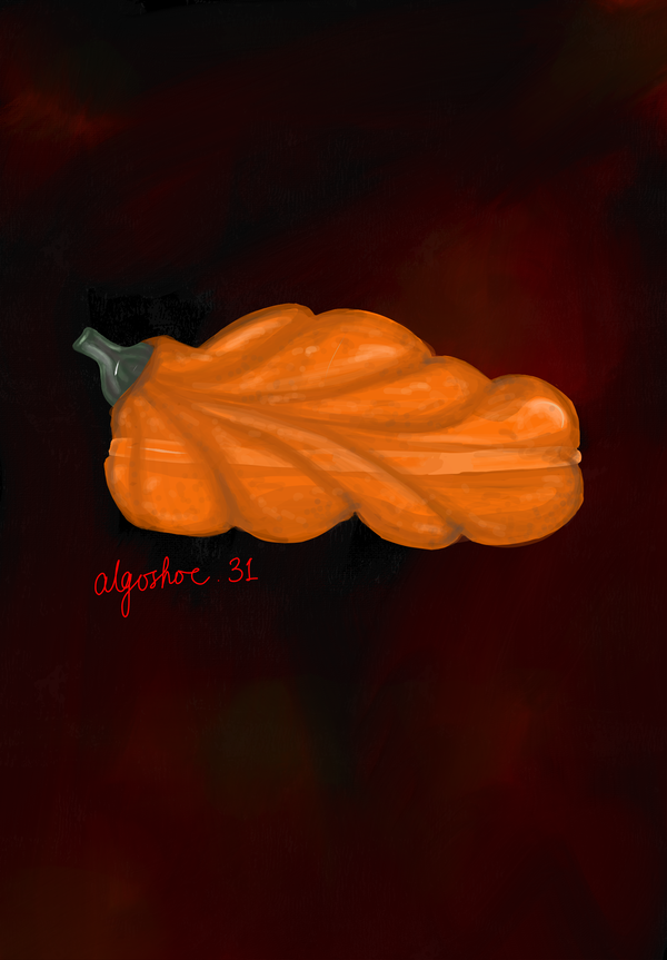 Image of AlgoShoe31 Exotic PUMPkin Shoe