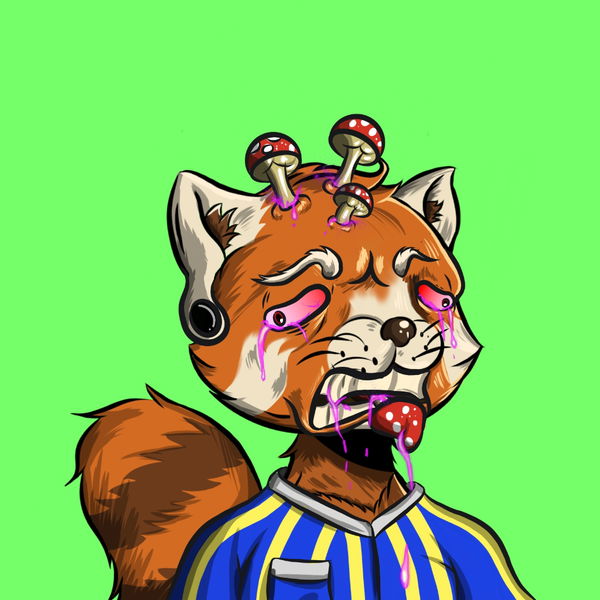 An image of Algo Red Panda 009