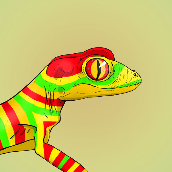 Image of Geko 0055