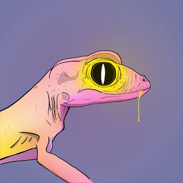 Image of Geko 0034