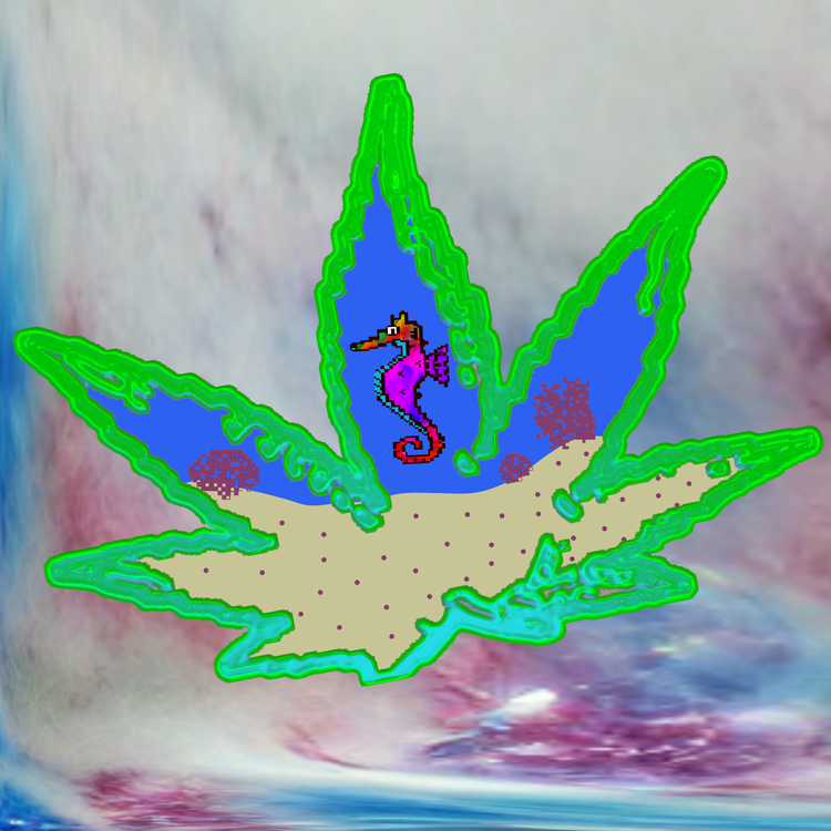 Image of Acid Algo Seahorse Army edition