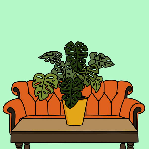 An image of Algo House Plant #0004