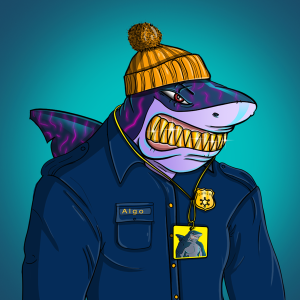 An image of AlgoShark #9