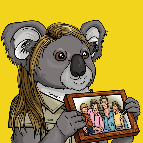 An image of Wildlife Warrior Koala #9