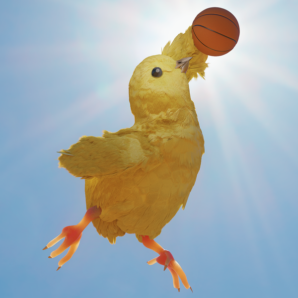 An image of Basketball Chick