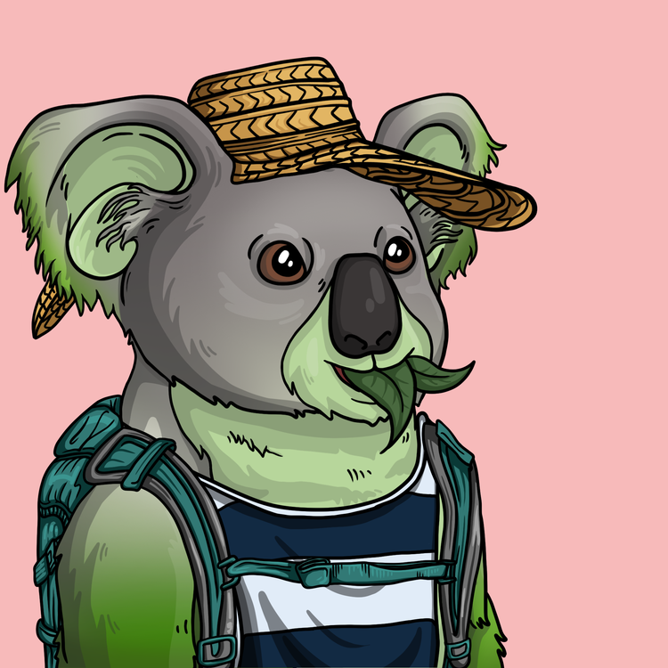 Image of Wildlife Warrior Koala #51