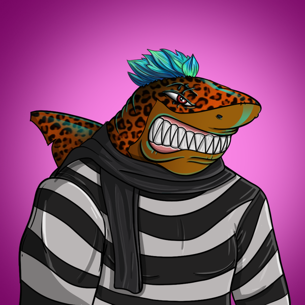 An image of AlgoShark #12