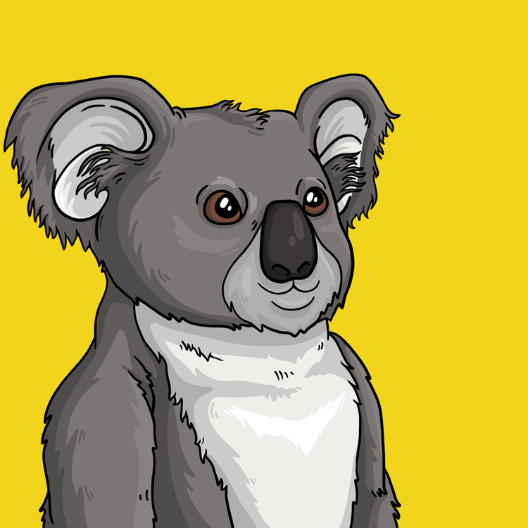 Image of Wildlife Warrior Koala #1