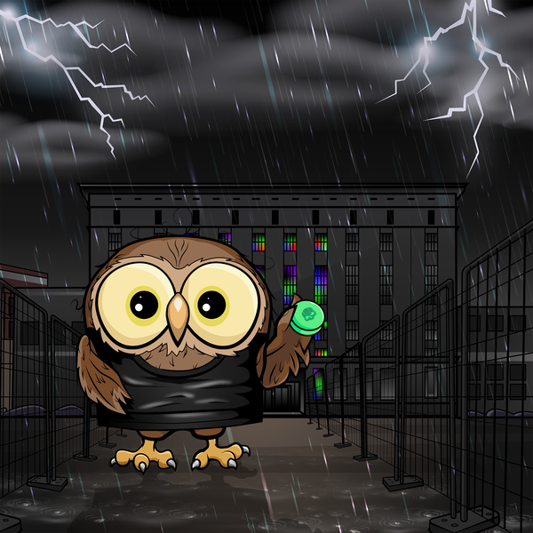 Image of cryptOOwl 032