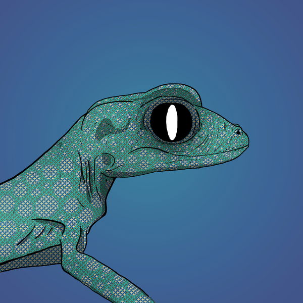 Image of Geko 0043