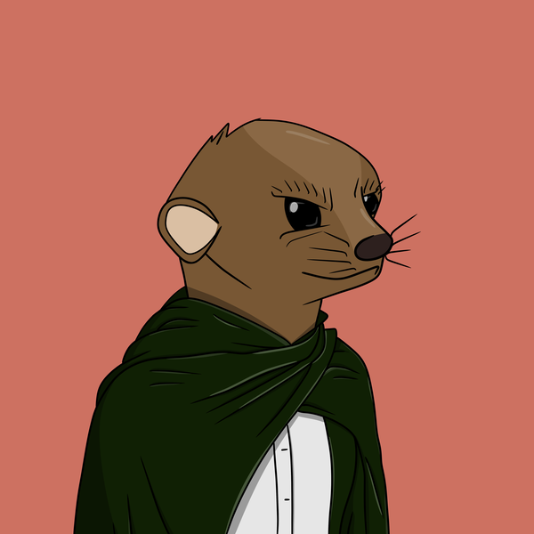 An image of Lil Meerkat #067