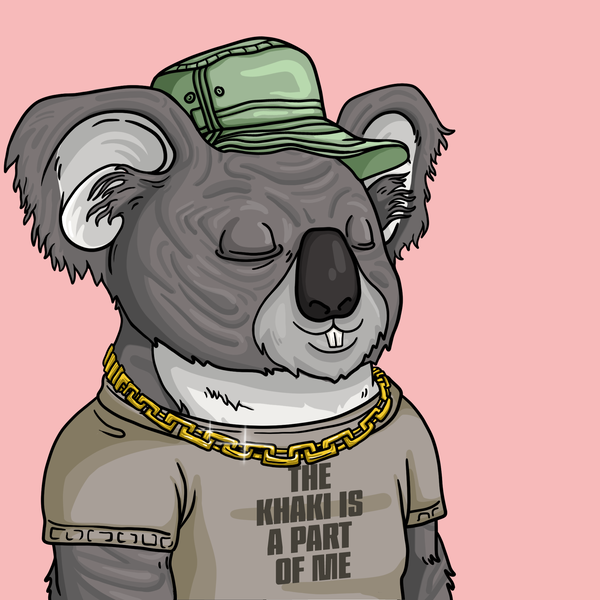 An image of Wildlife Warrior Koala #15